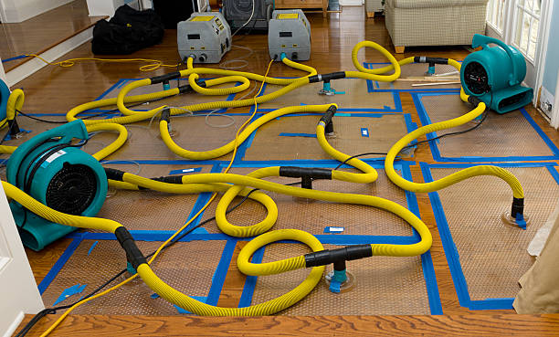 Professional Crawl Space Water Removal technician working in Clark, NJ